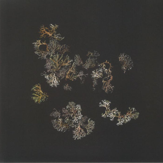 Return - 2xLP vinyl record cover