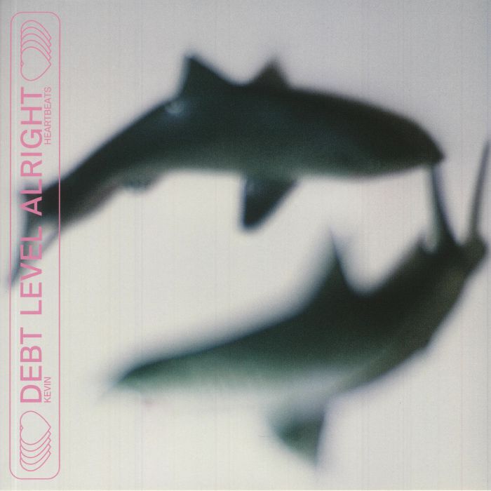Debt Level Alright - Vinyl LP vinyl record cover