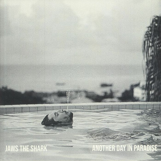 Another Day In Paradise - Vinyl EP vinyl record cover