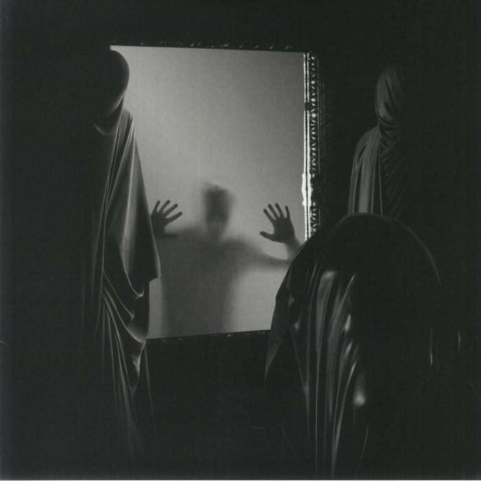 The Ailing Facade - Vinyl LP vinyl record cover