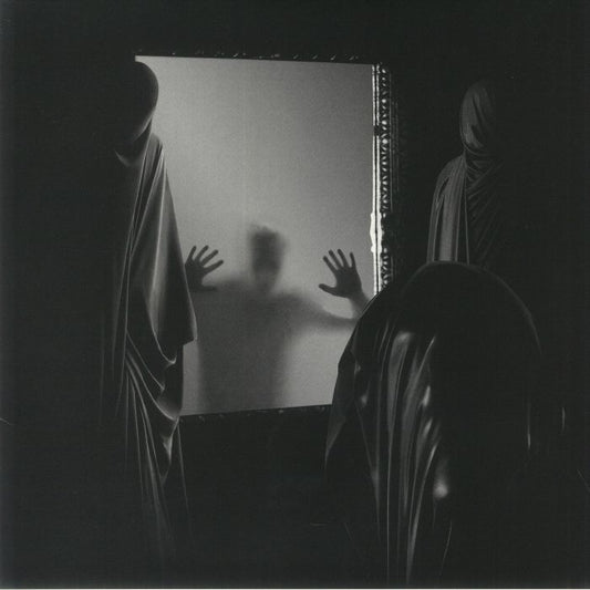 The Ailing Facade - Vinyl LP vinyl record cover