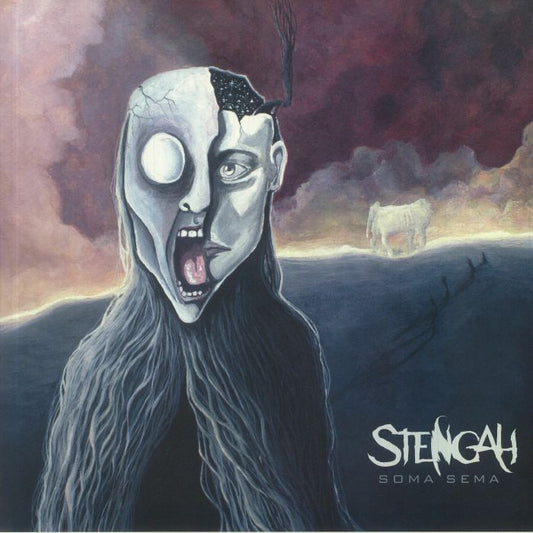 Soma Sema - Vinyl LP vinyl record cover