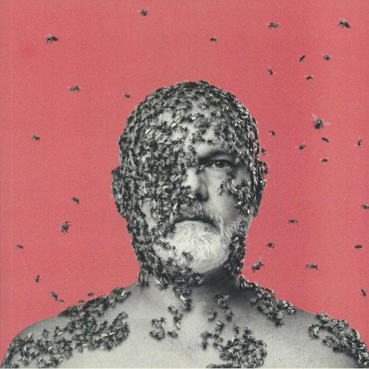 The Wilful Pursuit Of Ignorance - Vinyl LP vinyl record cover