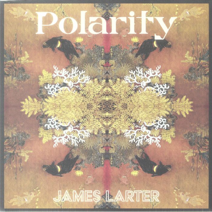 Polarity - Vinyl EP vinyl record cover