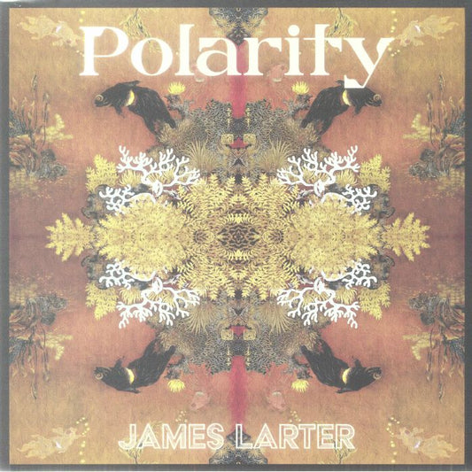 Polarity - Vinyl EP vinyl record cover