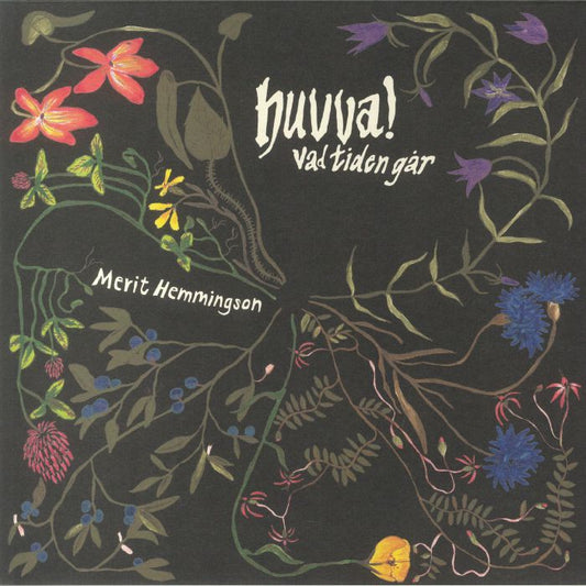 Huvva! Vad Tiden Gar - Vinyl LP vinyl record cover