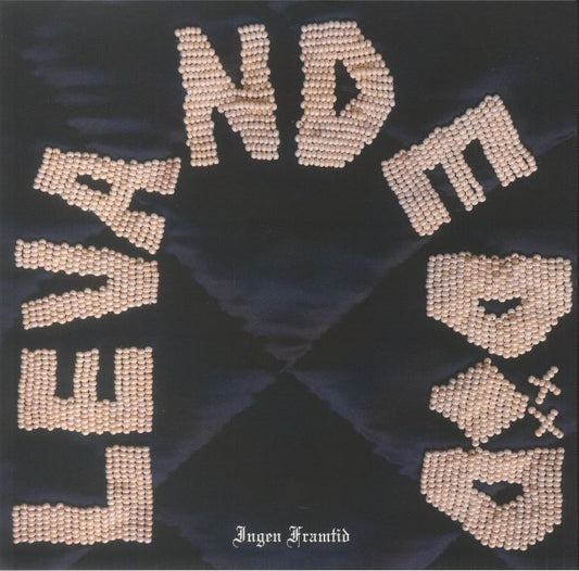 Ingen Framtid - Vinyl LP vinyl record cover
