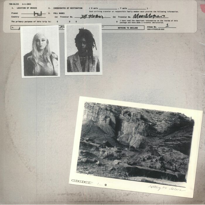 Nothing To Declare - Vinyl LP vinyl record cover