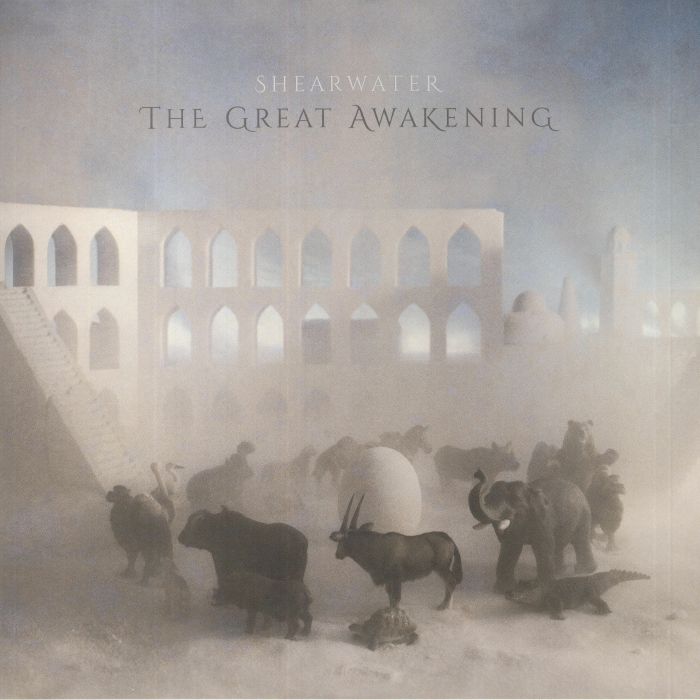 The Great Awakening - 2xLP vinyl record cover