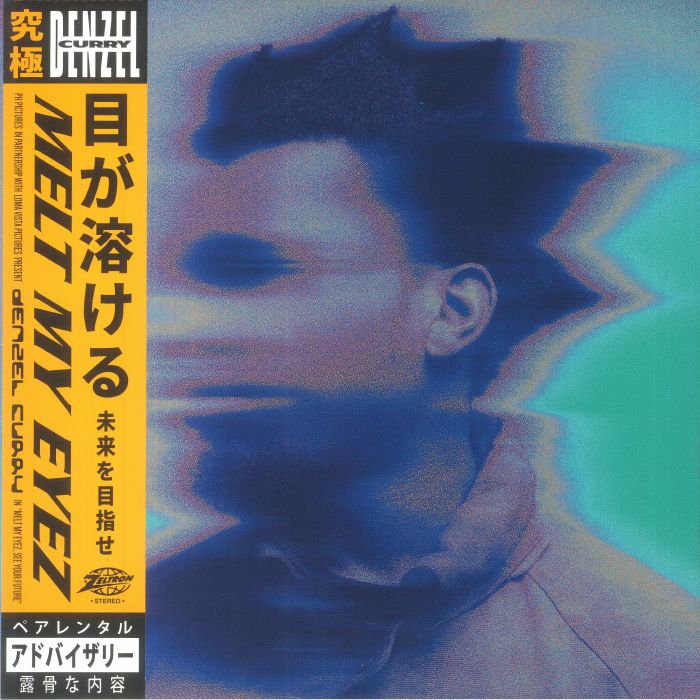 Melt My Eyez See Your Future - Vinyl LP vinyl record cover