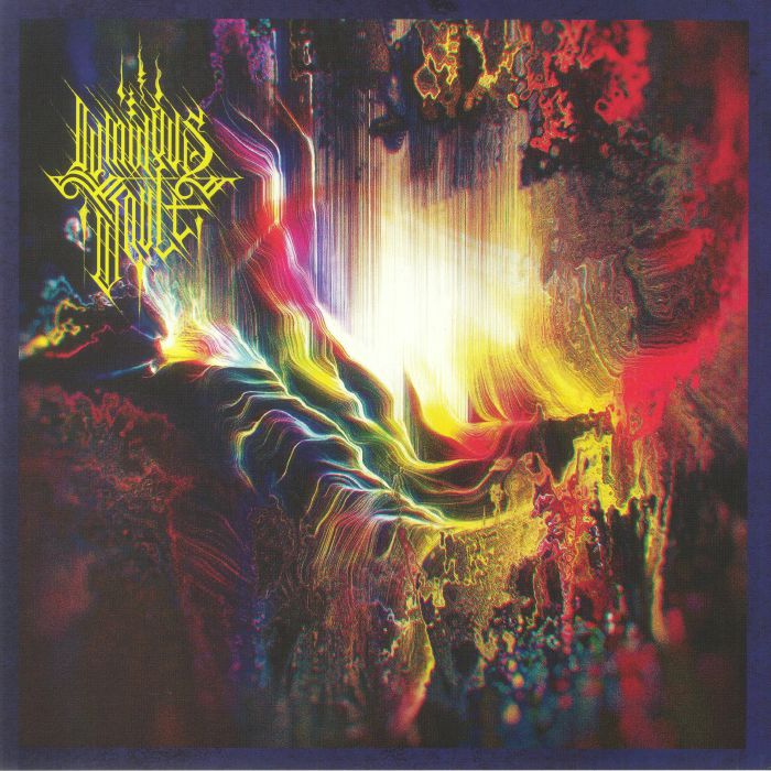 Animate The Emptiness - Vinyl LP vinyl record cover