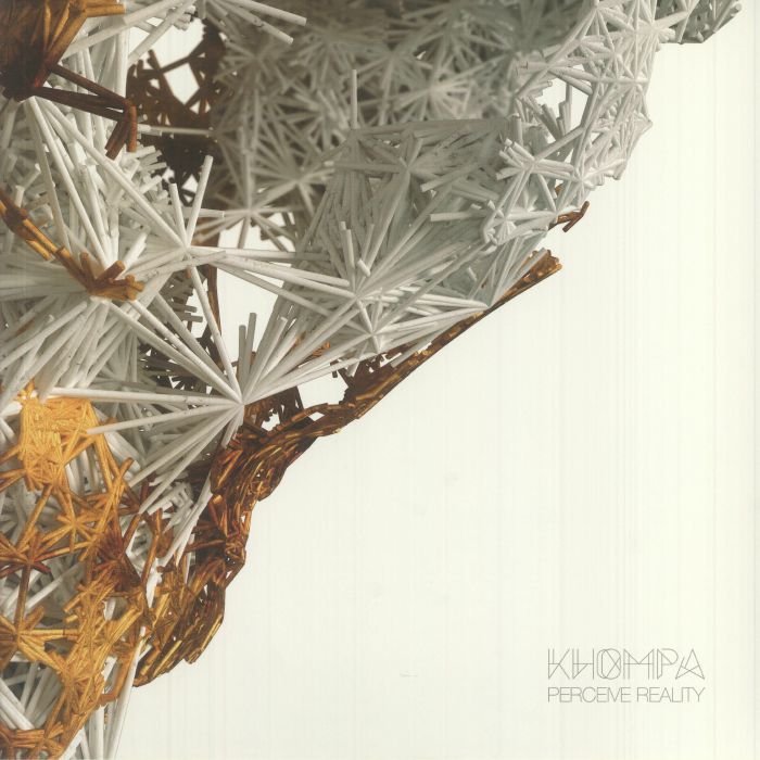 Perceive Reality - Limited Edition White Vinyl LP vinyl record cover
