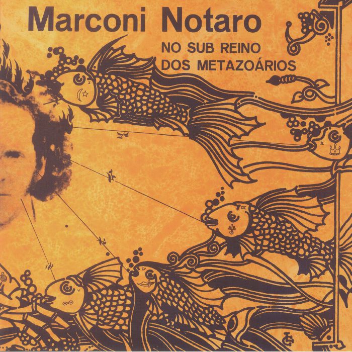 No Sub Reino Dos Metazoarios - Vinyl LP vinyl record cover