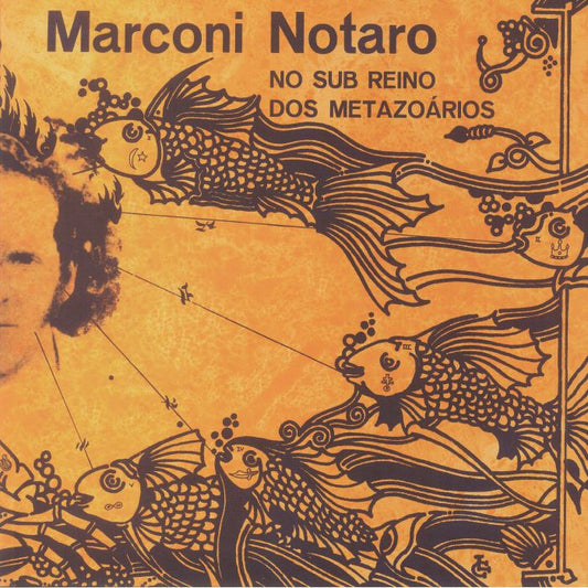 No Sub Reino Dos Metazoarios - Vinyl LP vinyl record cover