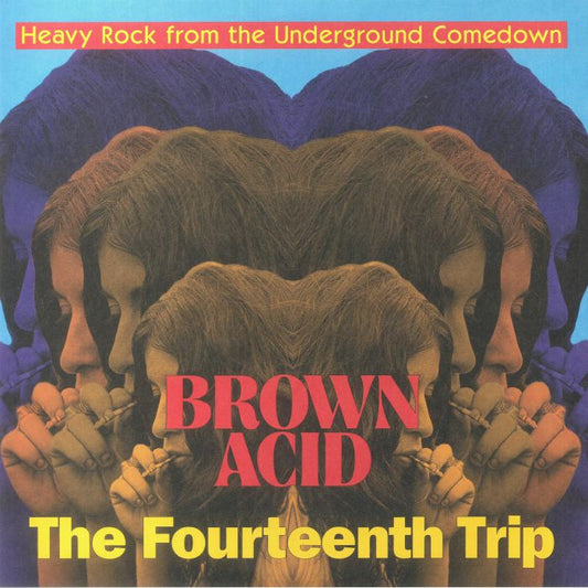 Brown Acid: The Fourteenth Trip - Limited Edition Clear Orange Vinyl LP vinyl record cover