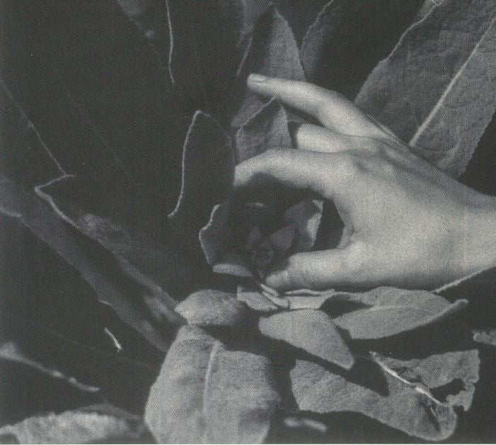 Heide - CD CD cover