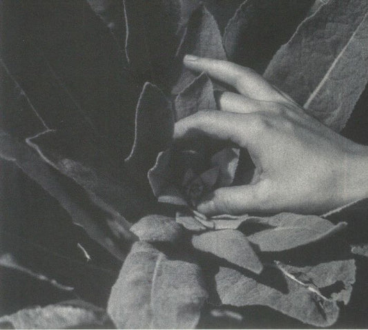 Heide - CD CD cover