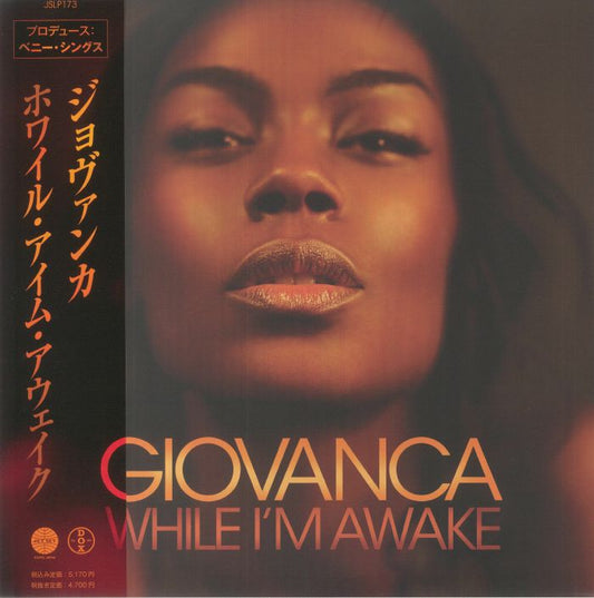 While I'm Awake - 2xLP vinyl record cover