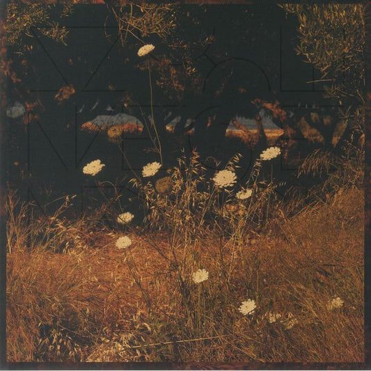 Earth Patterns - Vinyl LP vinyl record cover