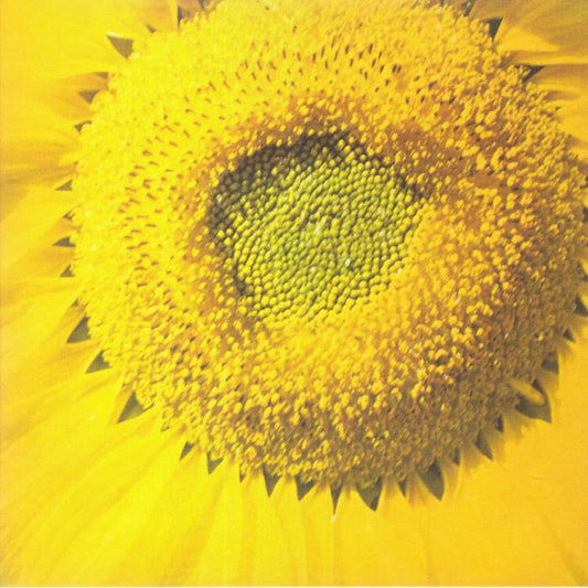 Girassol - Vinyl Single vinyl record cover