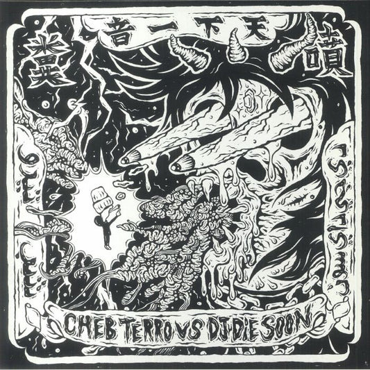 Cheb Terro vs DJ Die Soon - Vinyl LP vinyl record cover