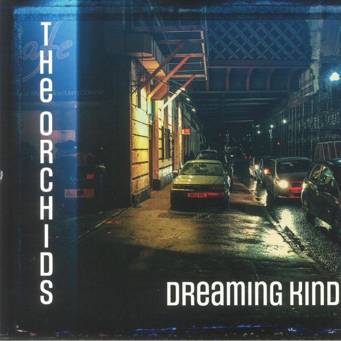 Dreaming Kind - Vinyl LP vinyl record cover