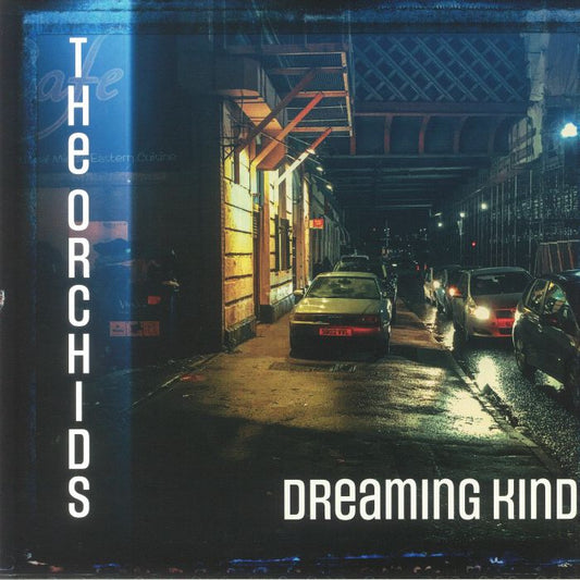 Dreaming Kind - Vinyl LP vinyl record cover