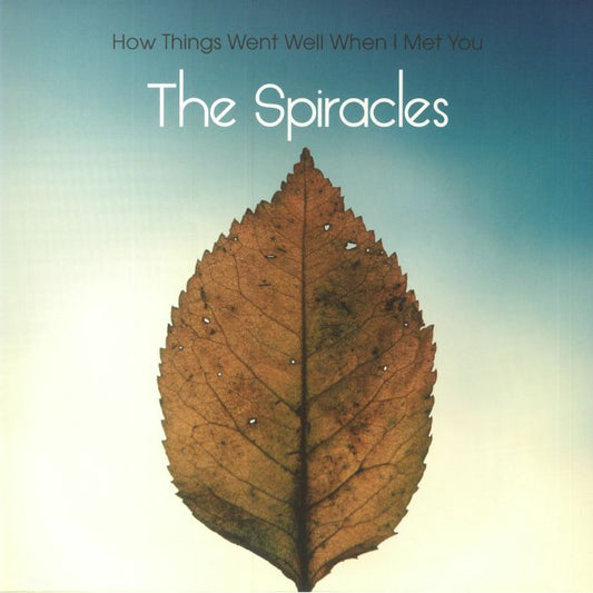 How Things Went Well When I Met You - Limited Edition Vinyl LP vinyl record cover