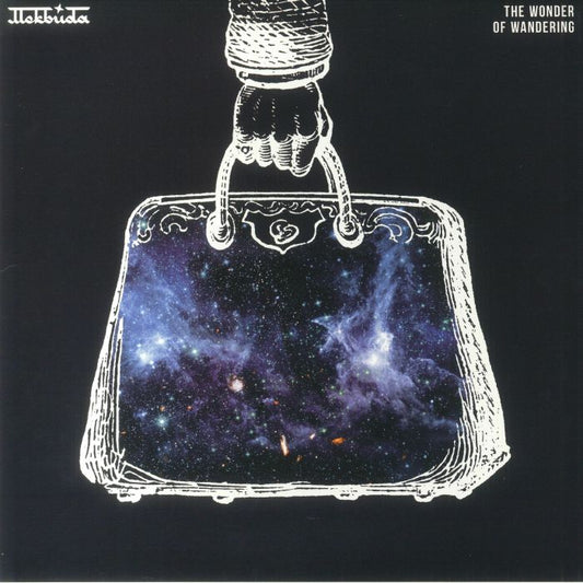 The Wonder Of Wandering - Vinyl LP vinyl record cover