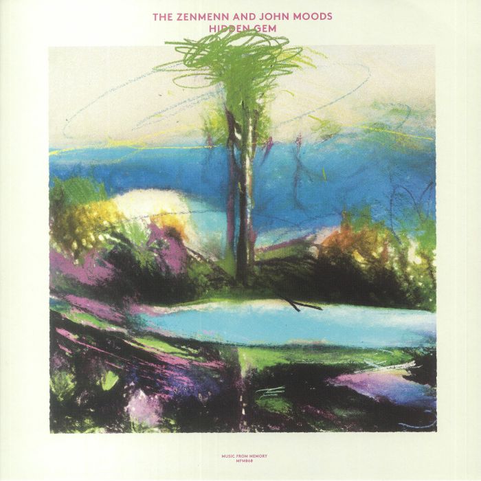 Hidden Gem - Vinyl LP vinyl record cover