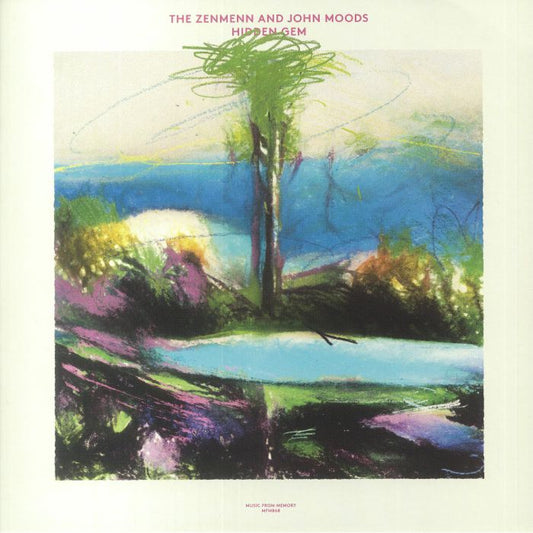 Hidden Gem - Vinyl LP vinyl record cover