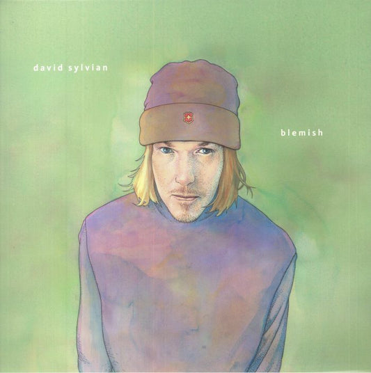 Blemish - Vinyl LP vinyl record cover