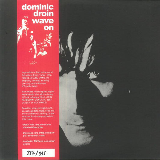 Wave On - Vinyl LP vinyl record cover