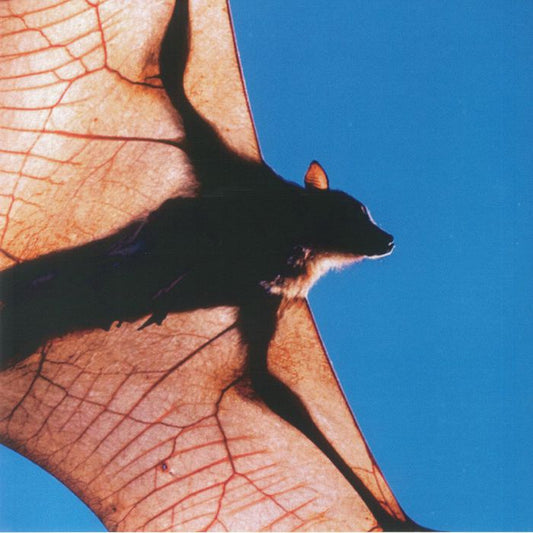 TIA TUA - Vinyl LP vinyl record cover