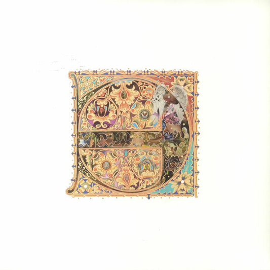 Privacy Angels - Vinyl LP vinyl record cover