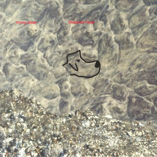 Shepherd Head - Vinyl LP vinyl record cover