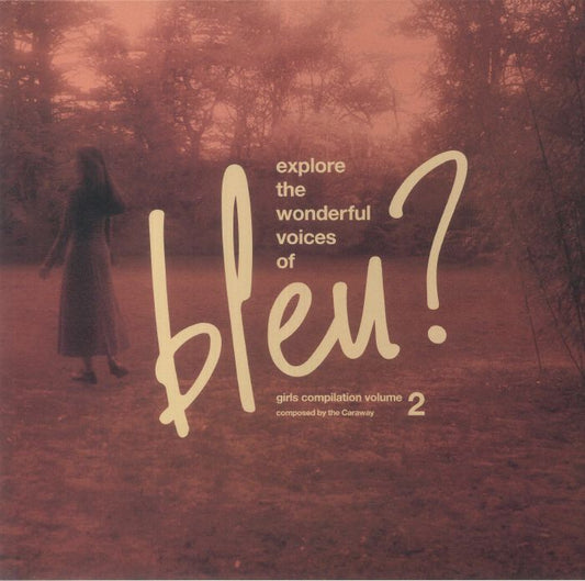 Explore The Wonderful Voices Of Bleu? Girls Compilation Volume 2 - Vinyl LP vinyl record cover