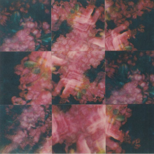 Prism - Vinyl LP vinyl record cover