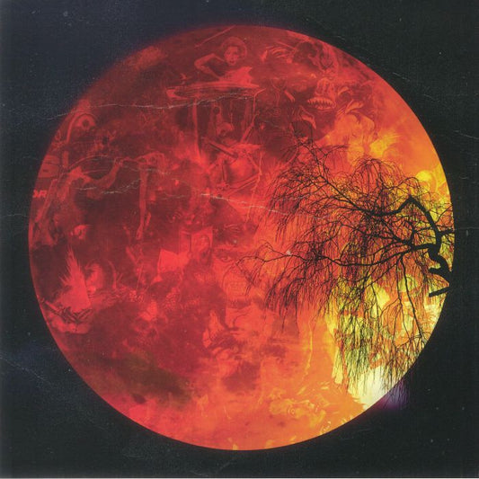 Live From Exile - Limited Edition Picture Disc LP vinyl record cover
