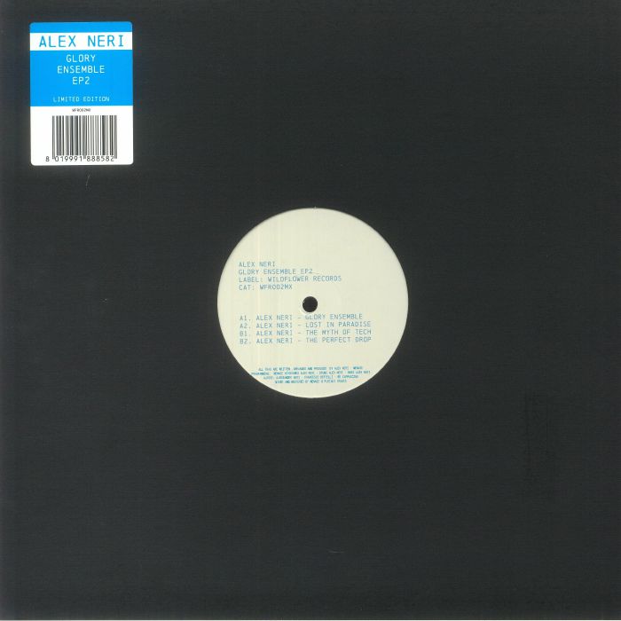 Glory Ensamble EP 2 - Vinyl EP vinyl record cover