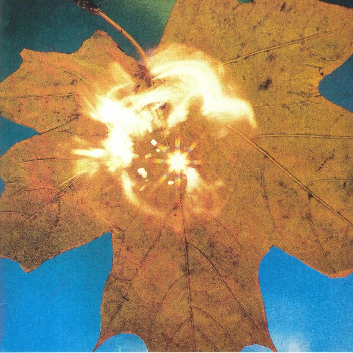 Force Of The Wind - Clear Vinyl LP vinyl record cover