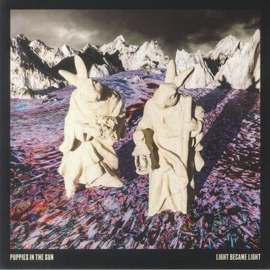 Light Became Light - Vinyl LP vinyl record cover