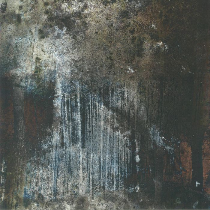 Terrain - Vinyl LP vinyl record cover