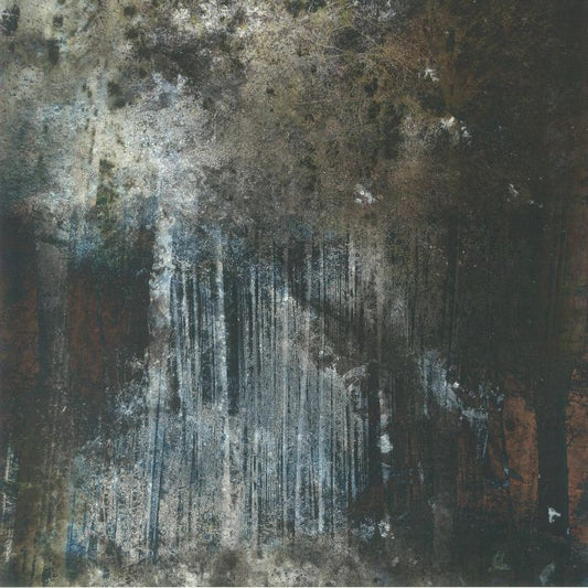 Terrain - Vinyl LP vinyl record cover