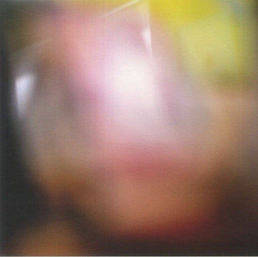 Upon This Fleeting Dream - Vinyl LP vinyl record cover