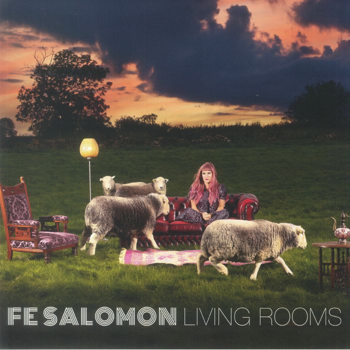 Living Rooms - Vinyl LP vinyl record cover