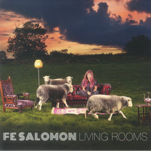 Living Rooms - Vinyl LP vinyl record cover