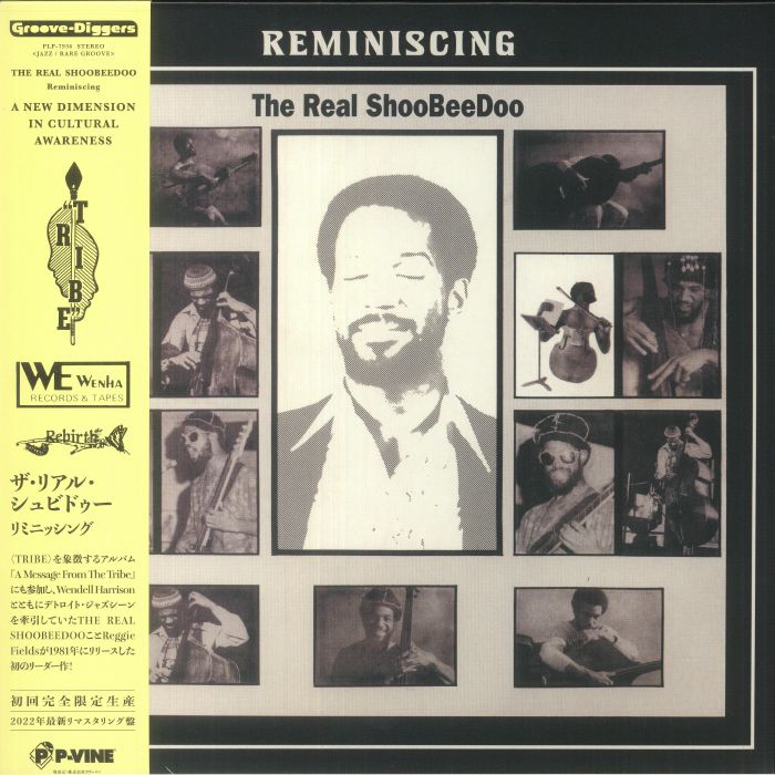Reminiscing - Limited Edition Vinyl LP vinyl record cover