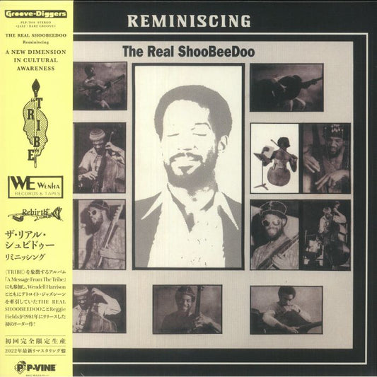 Reminiscing - Limited Edition Vinyl LP vinyl record cover