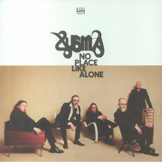 No Place Like Alone - Vinyl LP vinyl record cover